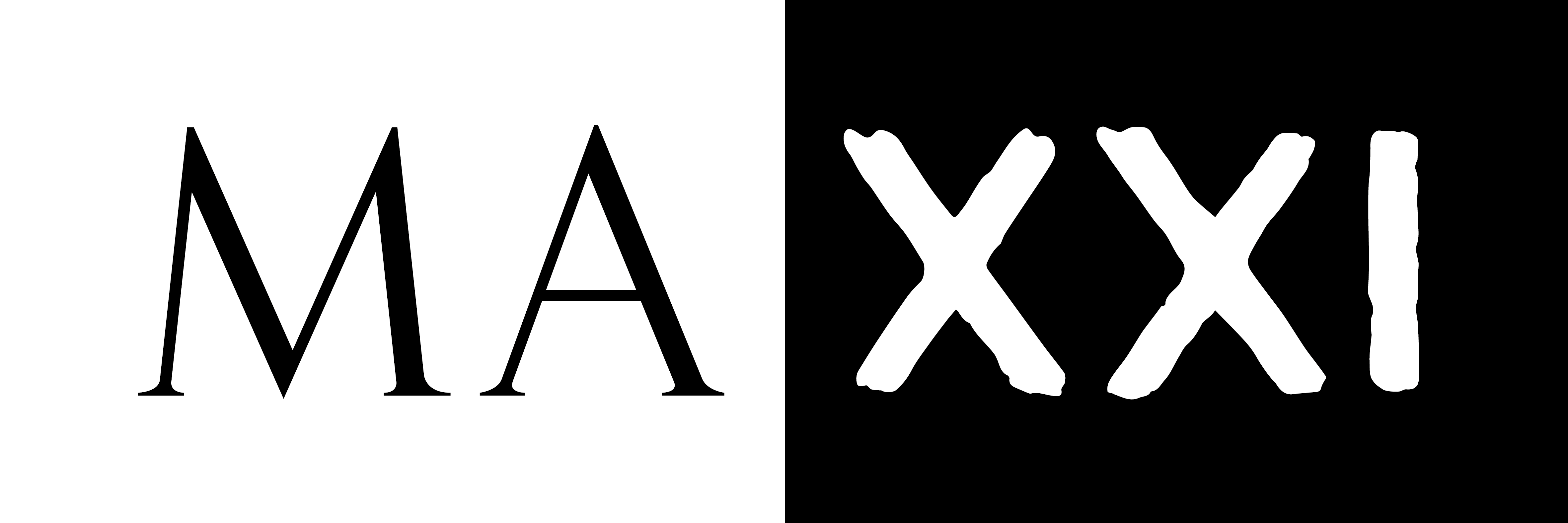 logo MAXXI